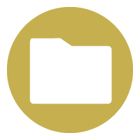 View My Records / Check Permit Status